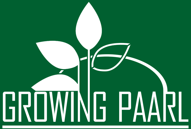 Growing Paarl